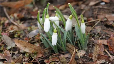 METEO 2 Martie. Cum va fi vremea astazi in Bucuresti si in alte zone din tara!