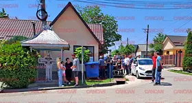 Galerie foto - poza 1