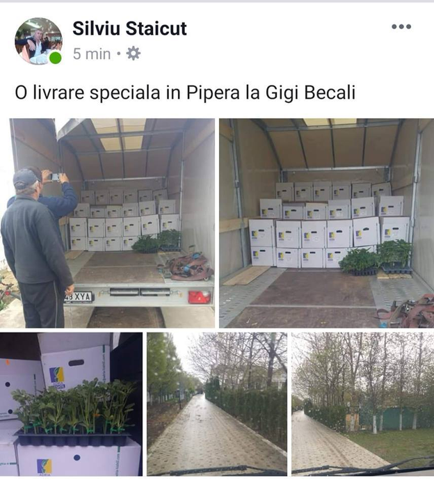 „Am o livrare specială pentru Gigi Becali”. Ce pachet a găsit latifundiarul la poarta vilei sale din Pipera