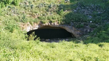 Te vei ingrozi daca vezi ce iese din aceasta pestera! Mii de oameni viziteaza acest loc inarmati cu aparate foto