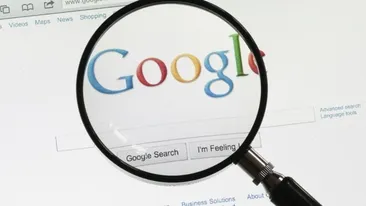 Iubitorii de animale sunt îndrăgostiţi de noul update Google! Tu ai aflat despre el?