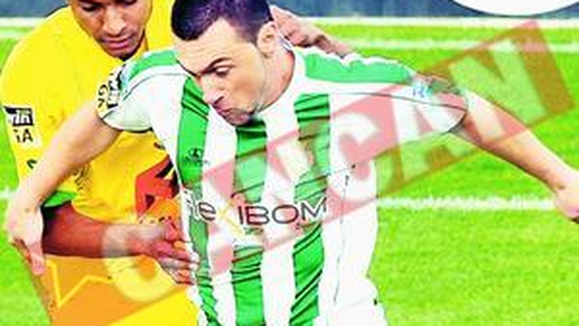 Pitbull: "Rapid? Vreau sa joc acolo!"
