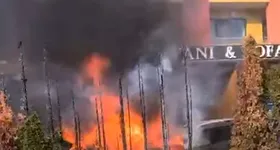 Galerie foto - poza 3