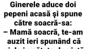 Bancul începutului de săptămână | "Mamă soacră, te-am auzit ieri spunând că..."