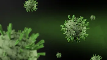 Ce amendă a primit Spitalul din Ștei, unde s-a descoperit primul caz de hantavirus. Normele sanitare nu au fost respectate