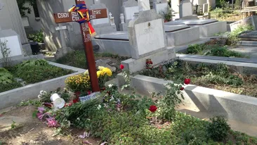 Sotia i-a acoperit mormantul cu flori si frunze, si… Ce se intampla in aceste momente la locul de veci al lui Szobi Cseh!