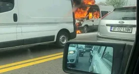 Galerie foto - poza 1