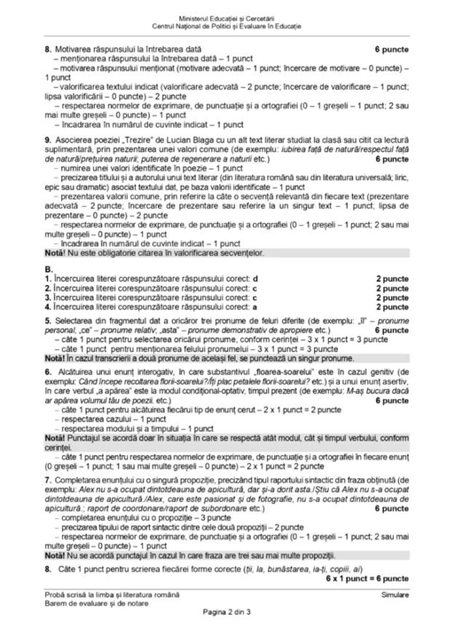 Simulare Evaluare Națională 2025 la Limba Română. Ce subiecte au avut elevii de clasa a VIII-a