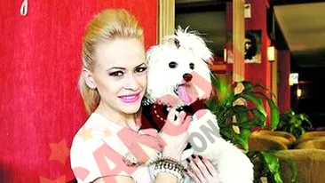 Anda Adam s-a incuscrit cu Dan de la Fly Project