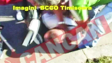 Interlop craiovean, prins cu 260 grame de hasis