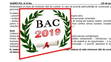 BAC 2019. Ce subiecte au picat la proba scrisă de la Limba și literatura română. Real și Uman