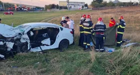 Galerie foto - poza 2