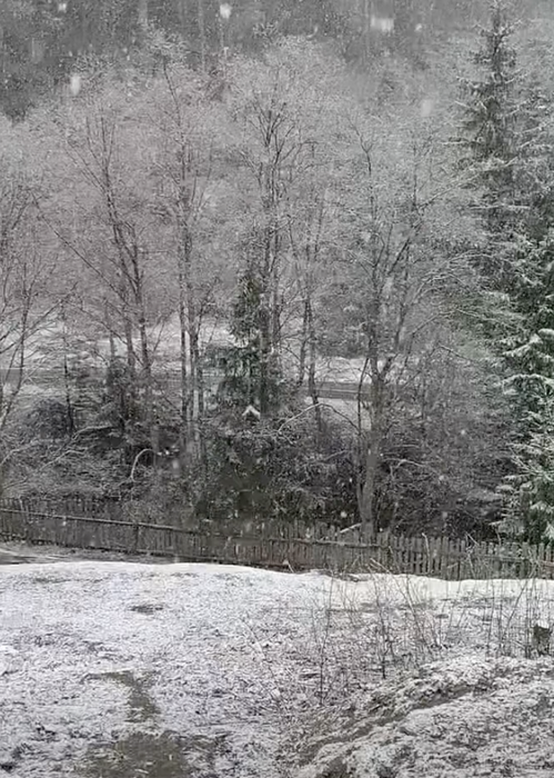 Ninge ca-n mijlocul iernii în România. Care sunt orașele afectate