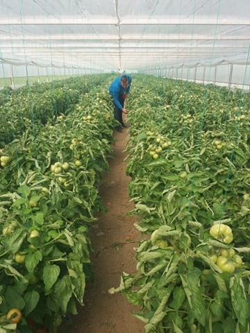 Simon Idita are 40 de ani şi face agricultură din tată-n fiu