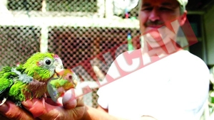 Zoo intre blocuri