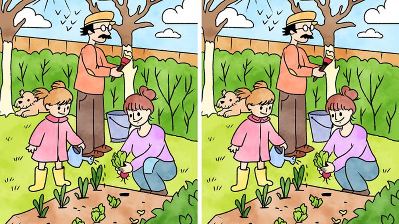 TEST IQ | Câte diferențe sunt între aceste 2 imagini? Doar geniile le văd pe toate