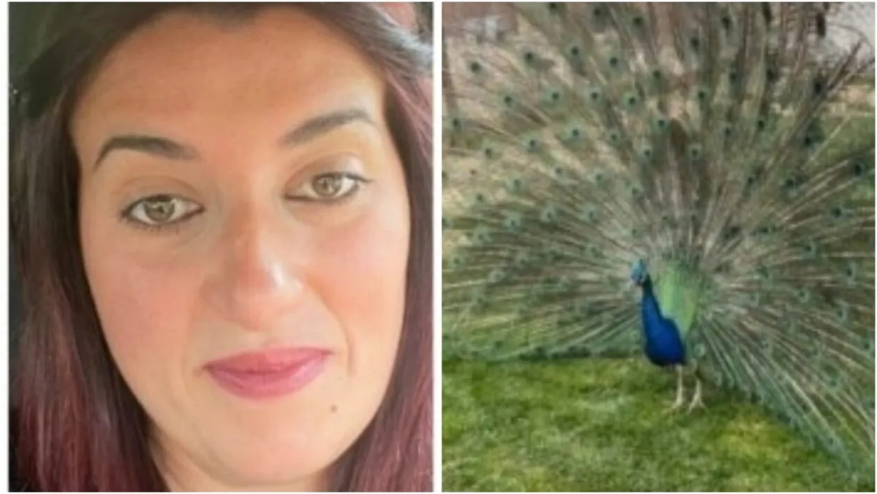 Ideea de afacere cu care a dat lovitura o tânără româncă de 36 de ani: „Statul nu m-a ajutat cu nimic până acum”