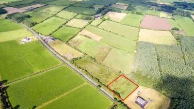 Cu cât s-a SCUMPIT un hectar de teren agricol în România. Mulți regretă că au vândut