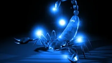 Horoscop zilnic: Horoscopul zilei de 25 iunie 2018. Scorpionii se preocupă de partea financiară