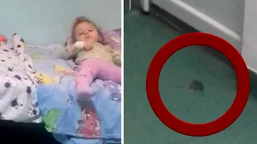 IMAGINI REVOLTĂTOARE. Șoarece filmat lângă un copil, într-un salon al Spitalului nr. 3 din Craiova