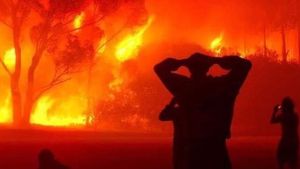 Record al emisiilor de carbon, după incendiile masive din această vară