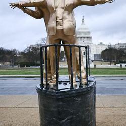Imagine Galerie #3