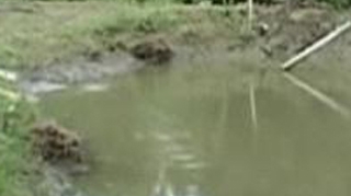 VIDEO Un copil de numai 4 ani a murit inecat intr-un lac din Bistrita Nasaud!