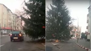 Imaginile zilei | Un brad de Crăciun, înalt de câțiva metri, blochează trecerea pe două benzi