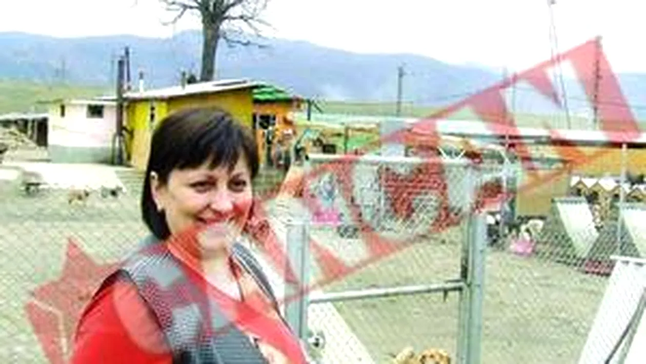 O moldoveanca ingrijeste 400 de catei si 50 de pisicute