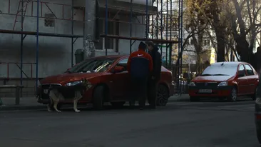 “Printi”, umbra procurorului. Cornel Dinu isi ia cainele peste tot