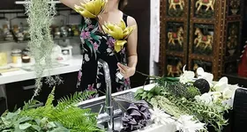 Galerie foto - poza 1