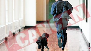 Bo il musca pe Obama de degete