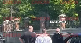 Galerie foto - poza 4