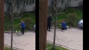A ieșit cu câinele la plimbare fără declarația pe propria răspundere. Ca să scape de amendă, o femeie din Drobeta Turnu Severin s-a pus în genunchi în fața polițistului