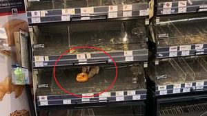 Bancul zilei / Le cerem scuze clienților și îi invităm să cumpere covrigul ros de șobolani