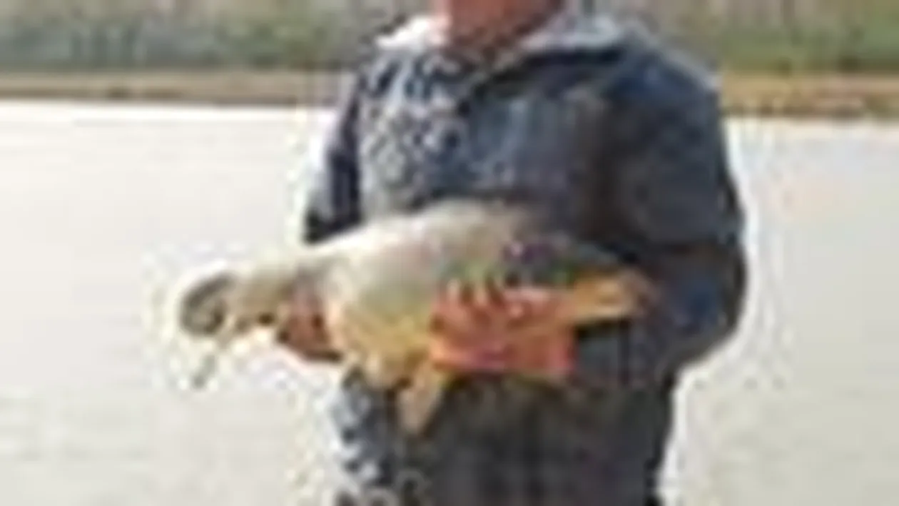 Topul baltilor cu peste de langa Bucuresti