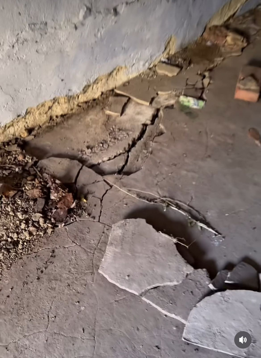 Cum arată casa pe care Sânziana Negru a renovat-o recent, de dragul bunicilor? A schimbat 5 echipe de muncitori în 2 ani