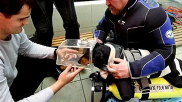 Boniface, cainele-scafandru