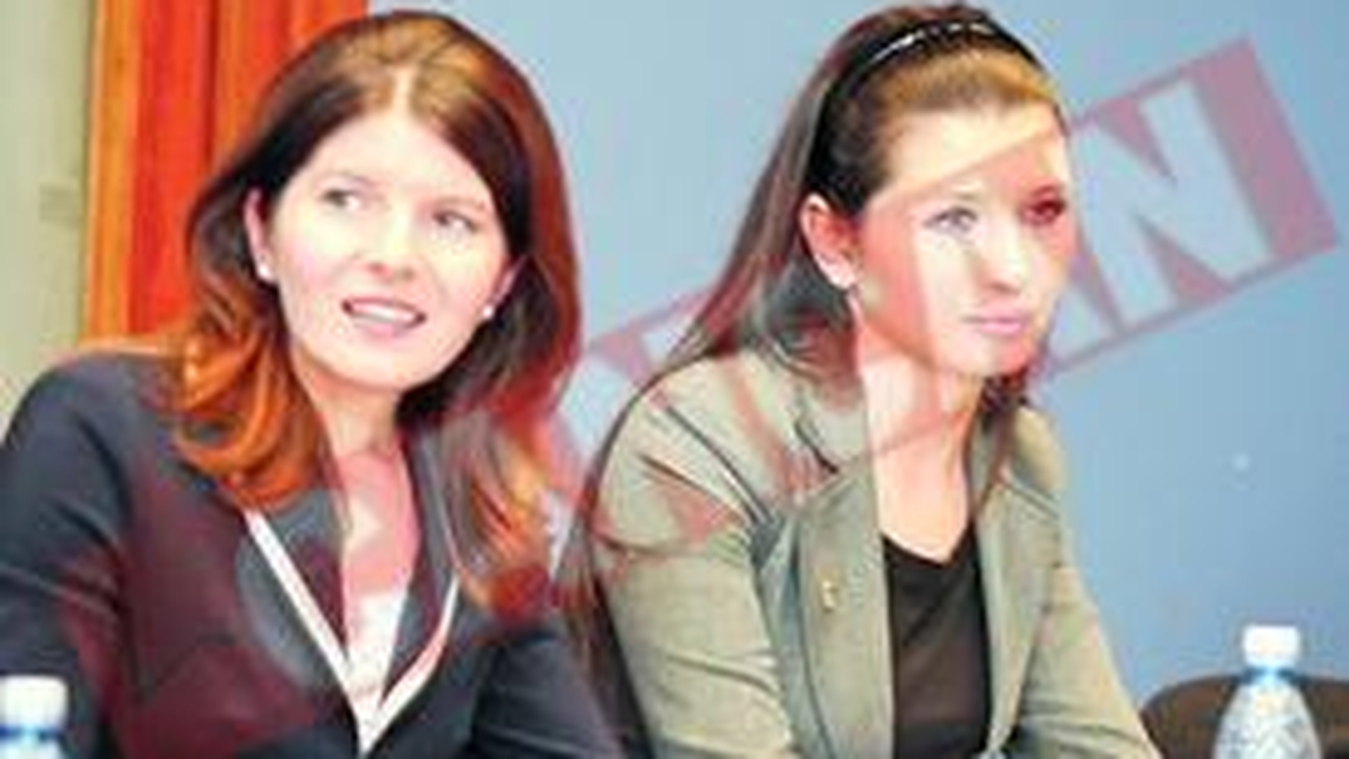 "Elena Basescu se va intoarce in PD-L mai puternica"