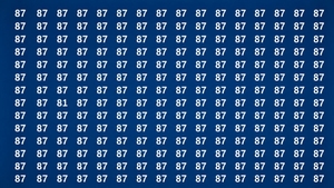 TEST IQ | Ești un geniu dacă poți identica numărul 81 în maximum 15 secunde