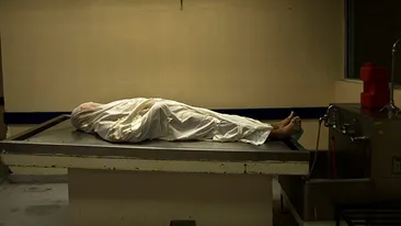 Vietate despre care se credea ca e disparuta de 100 de ani, descoperita de cercetatori: Se hraneste cu cadavre umane