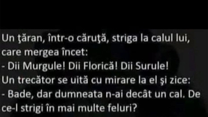 BANCUL ZILEI | "Diii, Murgule! Dii, Florică! Dii, Surule!"
