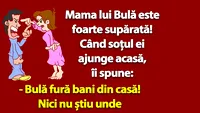 BANC | Bulă fură bani din casă!