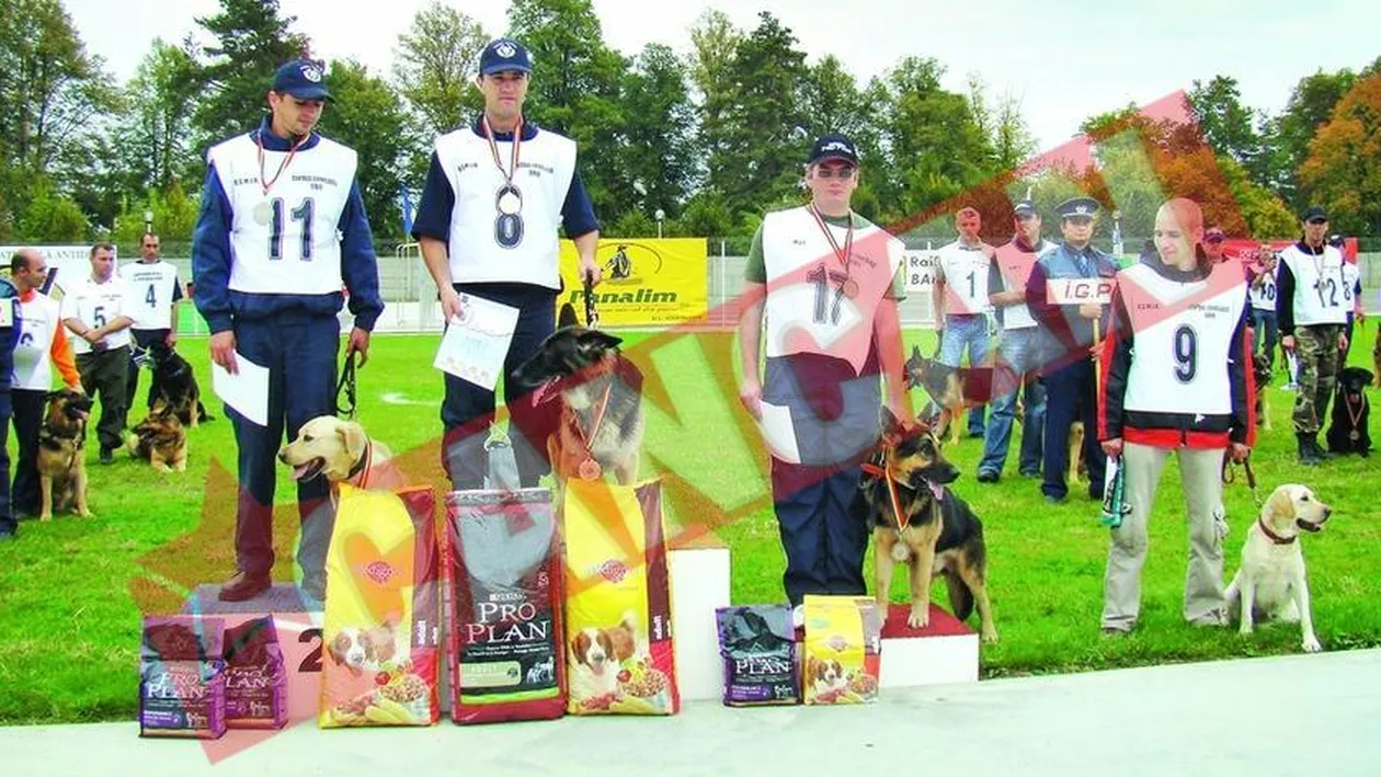 Cei mai buni caini politisti