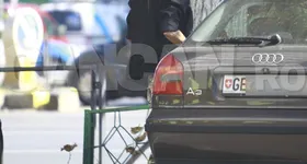 Galerie foto - poza 4