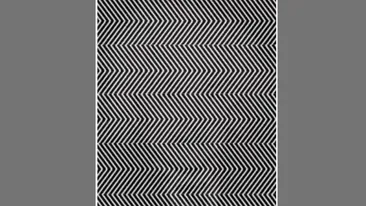 Iluzie optică virală pentru genii | Ce bărbat celebru se ascunde în această imagine?