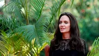 Surpriză de proporţii pentru ANGELINA JOLIE! Nu şi-a mai încăput în piele de fericire când a aflat vestea