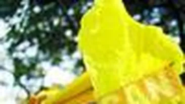 Terapia cu flori pentru copii!