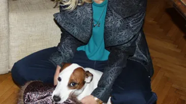 Cainele Danei Rogoz i-a mancat ultima investitie! Afla de ce nu s-a suparat vedeta!