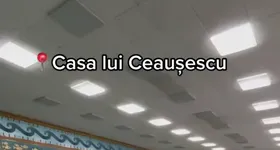 Galerie foto - poza 1